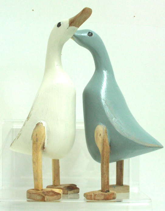 Ducks, Standing, Painted, Pair